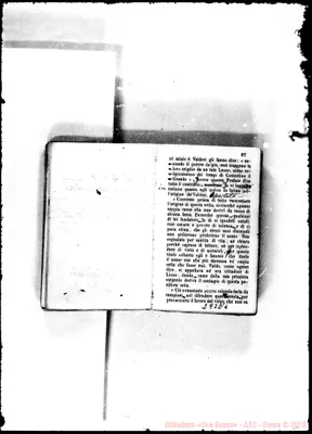 Fotogramma E 4