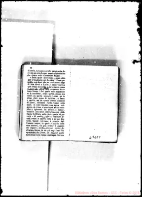 Fotogramma E 5