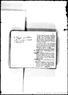 Fotogramma E 6