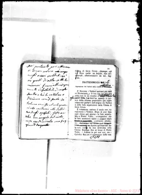 Fotogramma E 8