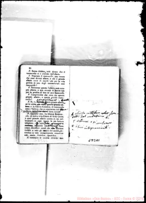 Fotogramma A 1
