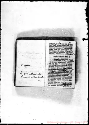 Fotogramma B 4