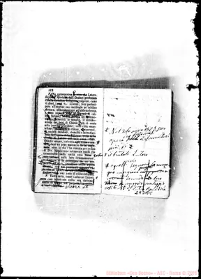 Fotogramma B 5