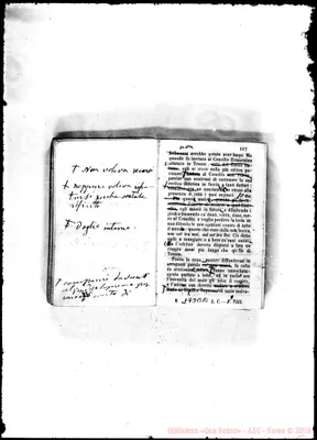 Fotogramma B 10