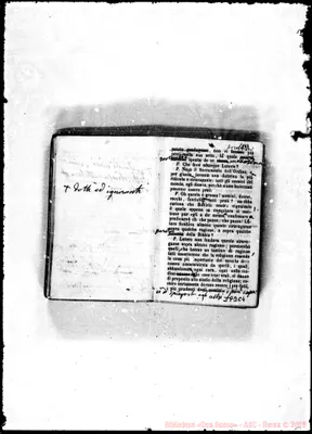 Fotogramma C 4