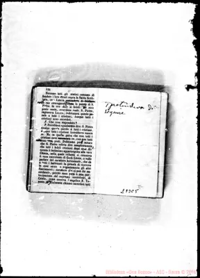 Fotogramma C 5