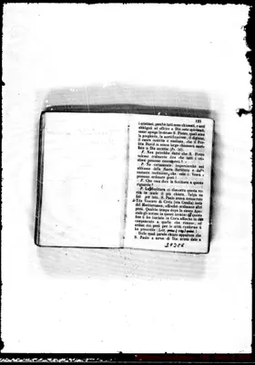 Fotogramma C 6