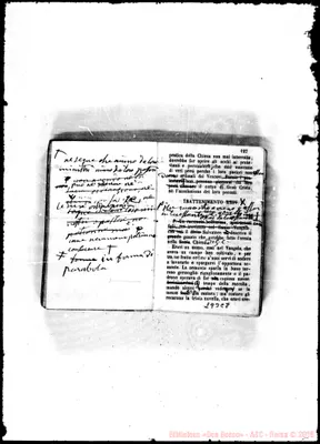 Fotogramma C 8