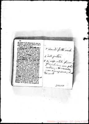Fotogramma C 11