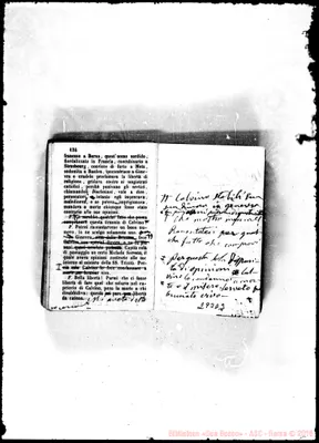 Fotogramma D 3