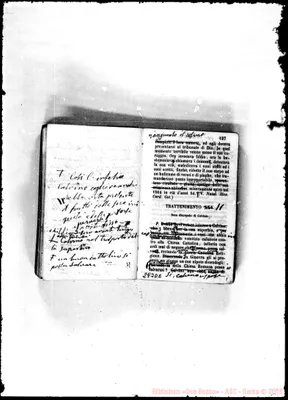 Fotogramma D 6