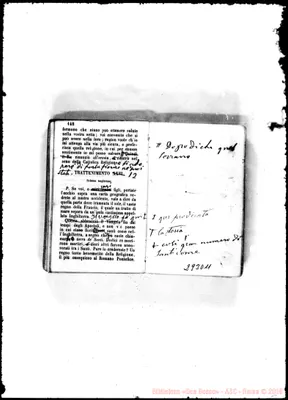 Fotogramma D 11