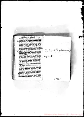 Fotogramma E 5