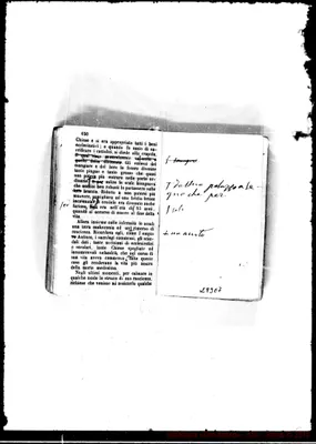 Fotogramma E 7