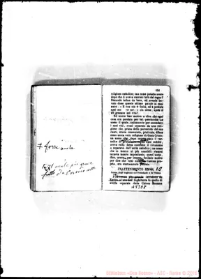 Fotogramma E 8