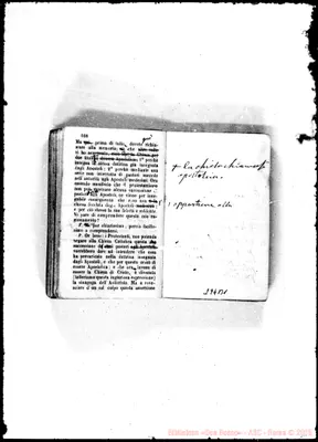 Fotogramma B 1