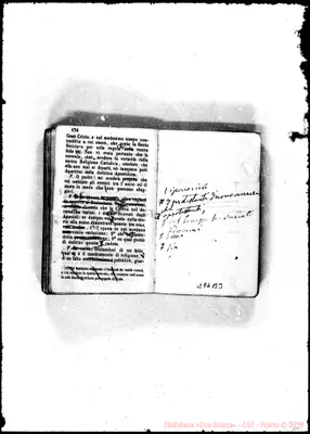 Fotogramma B 3