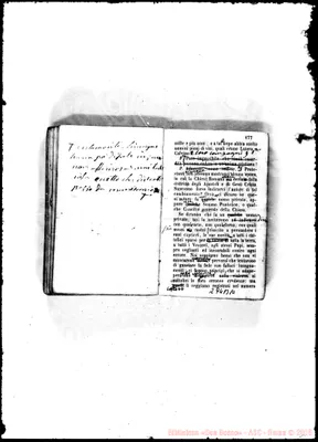 Fotogramma B 10