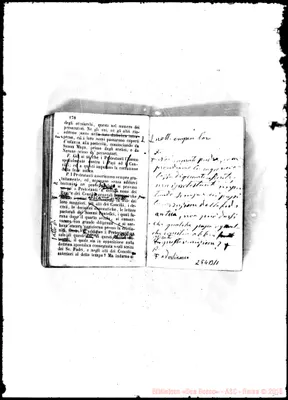 Fotogramma B 11
