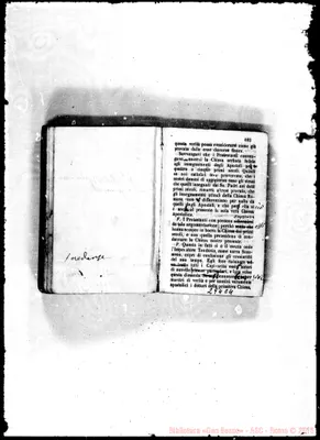 Fotogramma C 4