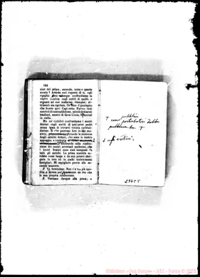 Fotogramma C 5