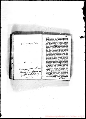 Fotogramma C 6