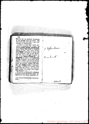 Fotogramma C 7