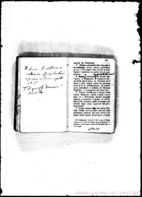 Fotogramma C 8