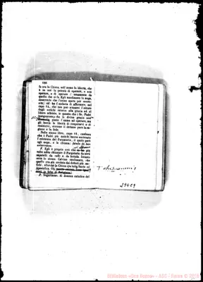 Fotogramma C 9
