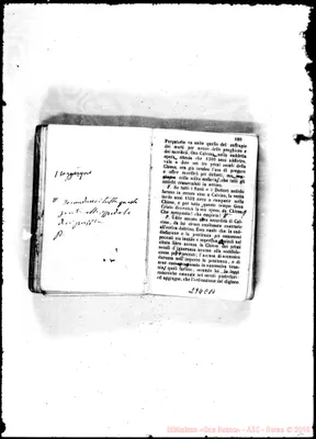 Fotogramma C 10