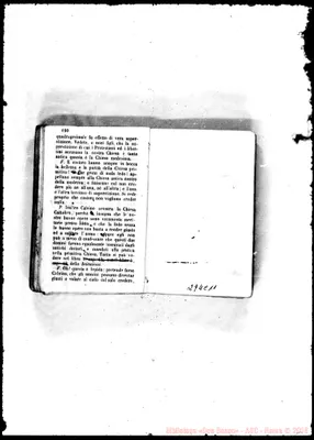 Fotogramma C 11