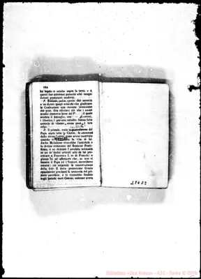 Fotogramma D 3