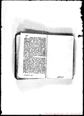 Fotogramma D 5