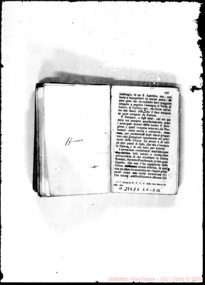 Fotogramma D 6
