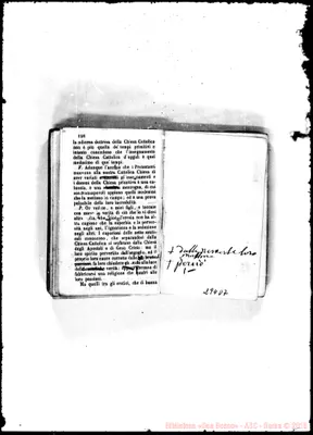 Fotogramma D 7