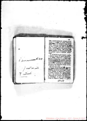 Fotogramma D 8