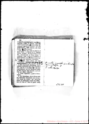 Fotogramma D 11