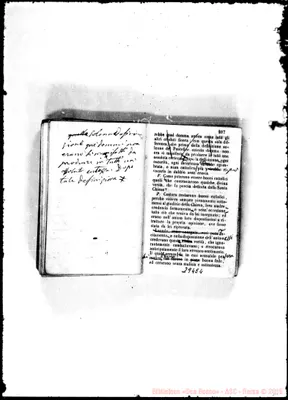 Fotogramma E 4