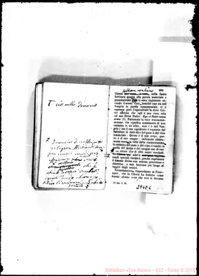 Fotogramma E 6