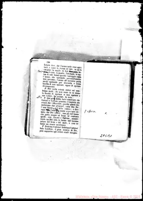 Fotogramma B 1