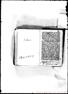 Fotogramma B 2