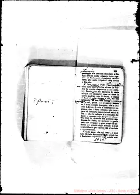 Fotogramma B 8