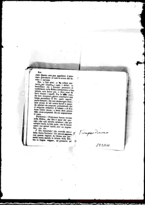 Fotogramma B 11
