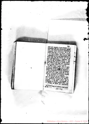 Fotogramma C 2