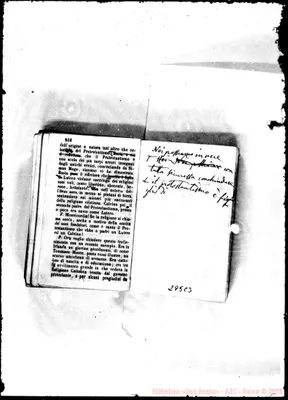 Fotogramma C 3