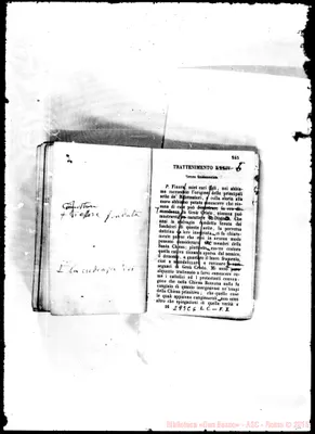 Fotogramma C 6