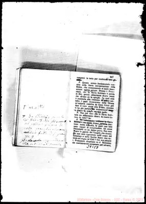 Fotogramma C 8