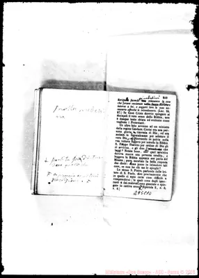 Fotogramma C 10