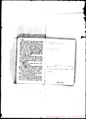 Fotogramma C 11