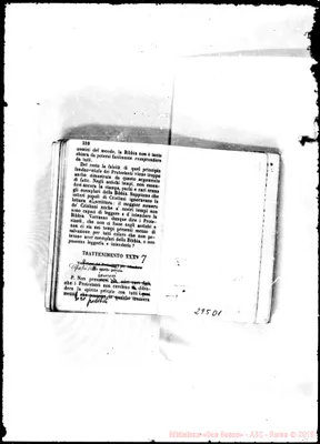 Fotogramma D 1